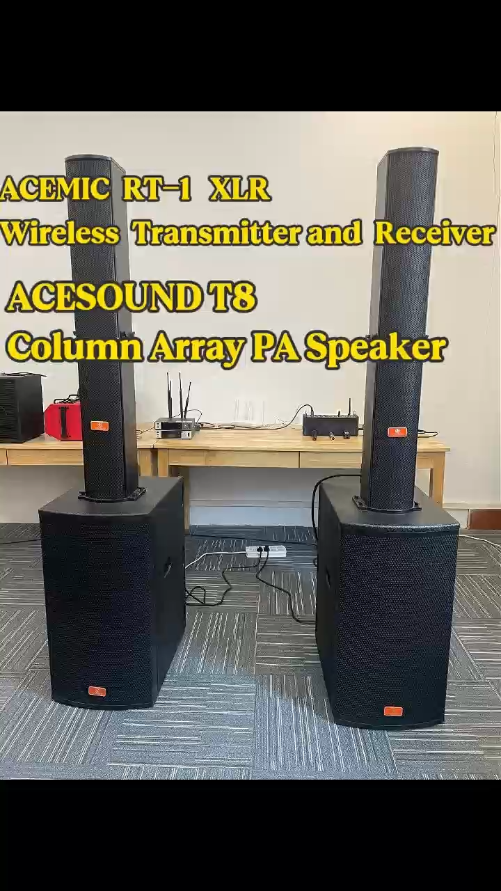 RT-1 Plug-On XLR Wireless Audio Transmitter and Receiver