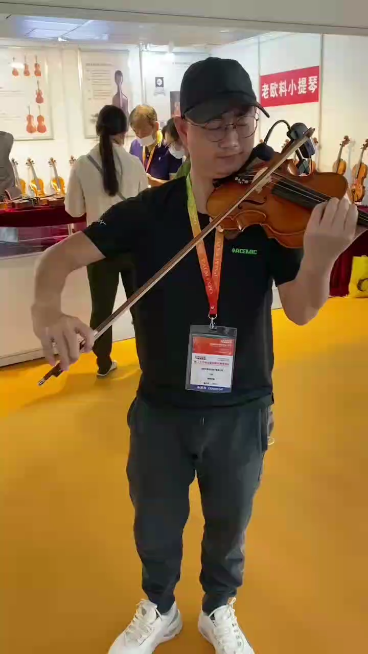 VT-2 Wired Violin Microphone